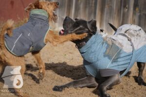 Hutamix-25-11-w03-065