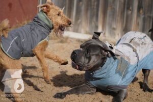 Hutamix-25-11-w03-066