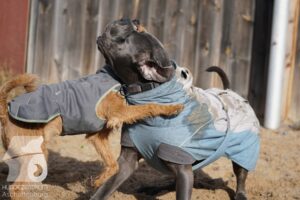 Hutamix-25-11-w03-067