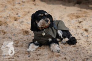 Hutamix-25-11-w03-068