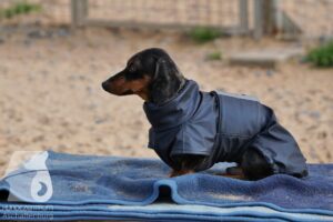 Hutamix-25-11-w03-069