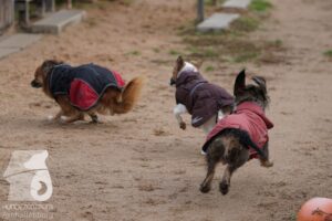 Hutamix-25-11-w03-070