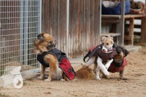 Hutamix-25-11-w03-071