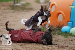 Hutamix-25-11-w03-073