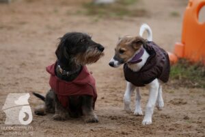 Hutamix-25-11-w03-074