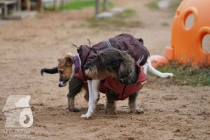 Hutamix-25-11-w03-075