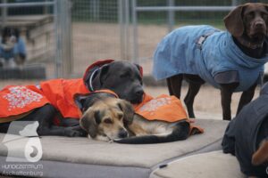 Hutamix-25-11-w03-076