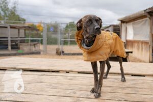 Hutamix-25-11-w03-077