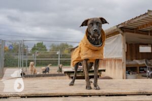 Hutamix-25-11-w03-078