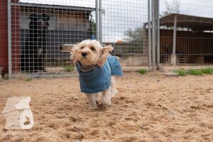 Hutamix-25-11-w03-079