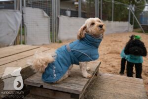 Hutamix-25-11-w03-080