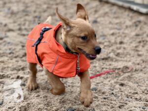 Hutamix-25-11-w03-081