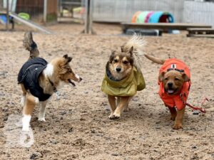 Hutamix-25-11-w03-082