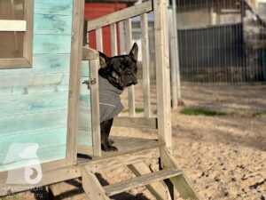 Hutamix-25-11-w03-083