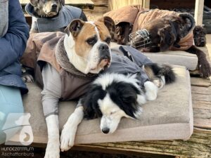 Hutamix-25-11-w03-084