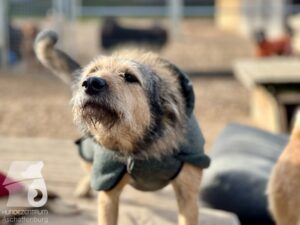 Hutamix-25-11-w03-085