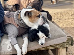 Hutamix-25-11-w03-086