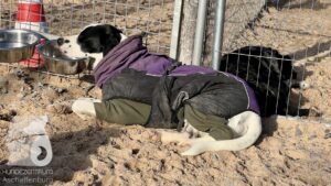 Hutamix-25-11-w03-087