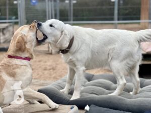 Hutamix-25-11-w03-088