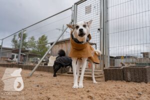 Hutamix-25-11-w03-089