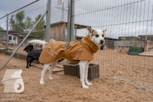 Hutamix-25-11-w03-090