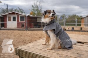 Hutamix-25-11-w03-091