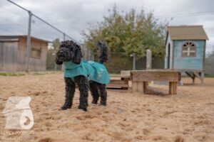 Hutamix-25-11-w03-092