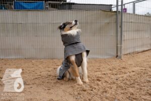 Hutamix-25-11-w03-093