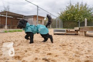 Hutamix-25-11-w03-094