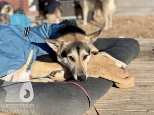 Hutamix-25-11-w17-001