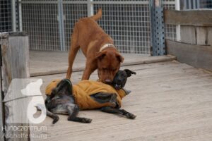 Hutamix-25-11-w17-002