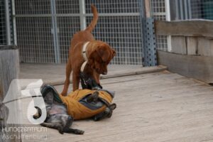 Hutamix-25-11-w17-003