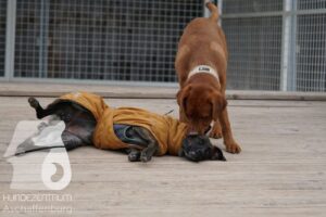 Hutamix-25-11-w17-004