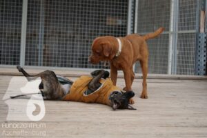 Hutamix-25-11-w17-005