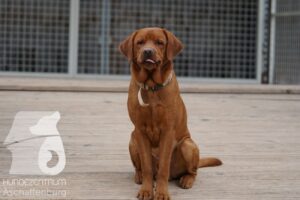 Hutamix-25-11-w17-007