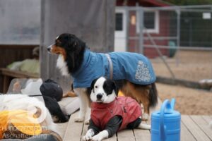 Hutamix-25-11-w17-011