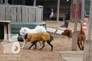 Hutamix-25-11-w17-012