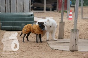 Hutamix-25-11-w17-013