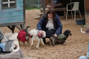 Hutamix-25-11-w17-014