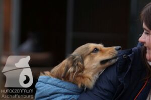 Hutamix-25-11-w17-015