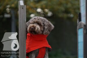 Hutamix-25-11-w17-016