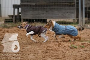 Hutamix-25-11-w17-017