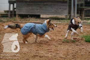 Hutamix-25-11-w17-018