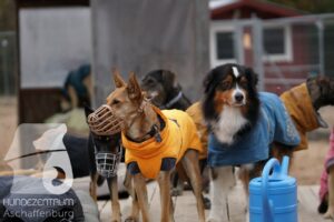 Hutamix-25-11-w17-019