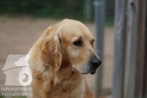 Hutamix-25-11-w17-020