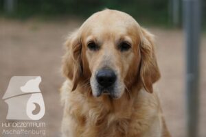 Hutamix-25-11-w17-021