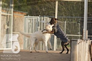 Hutamix-25-11-w17-022