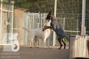 Hutamix-25-11-w17-023