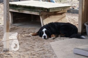 Hutamix-25-11-w17-024