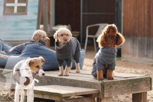 Hutamix-25-11-w17-025